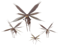 2ndGen-Vespoid Render.png