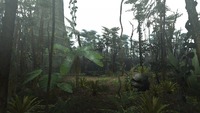 2ndGen-Old Jungle Screenshot 001.jpg